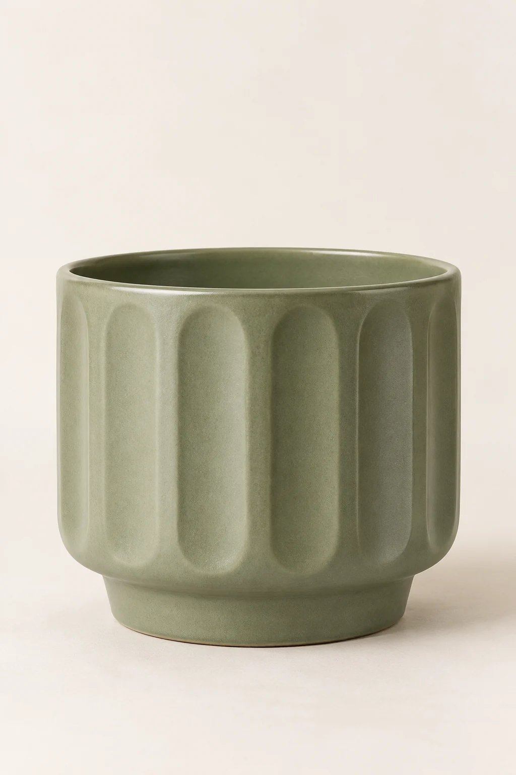 Sage plant pot